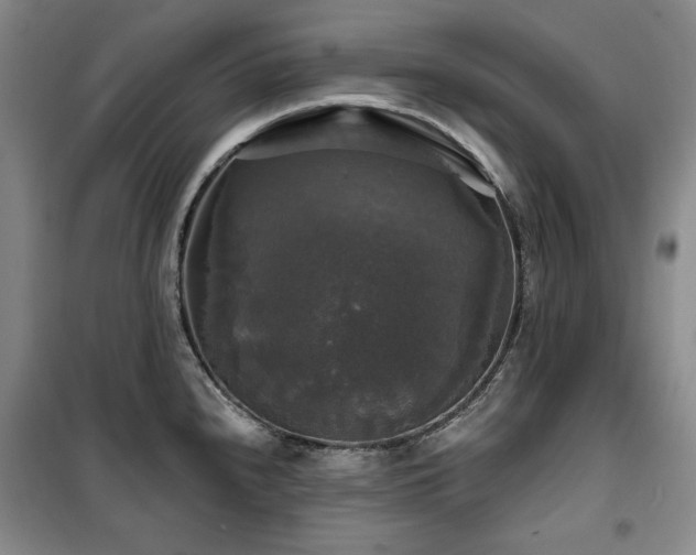 X0000100371240200806061148