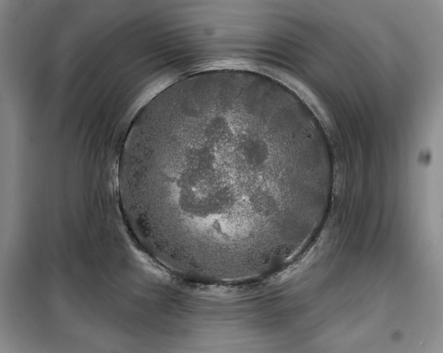 X0000100371241200806061148