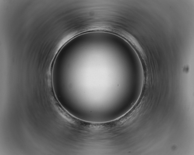 X0000100371242200806061148