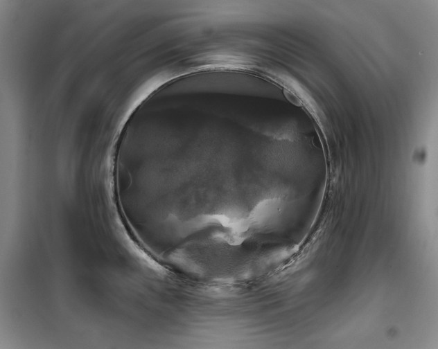 X0000100371243200806061148