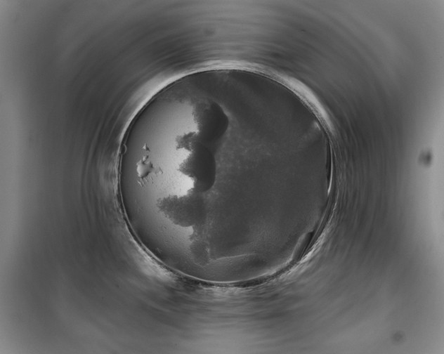 X0000100371244200806061148