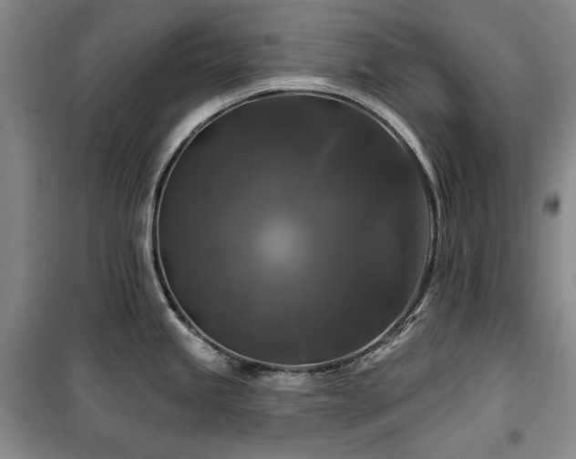 X0000100371245200806061148