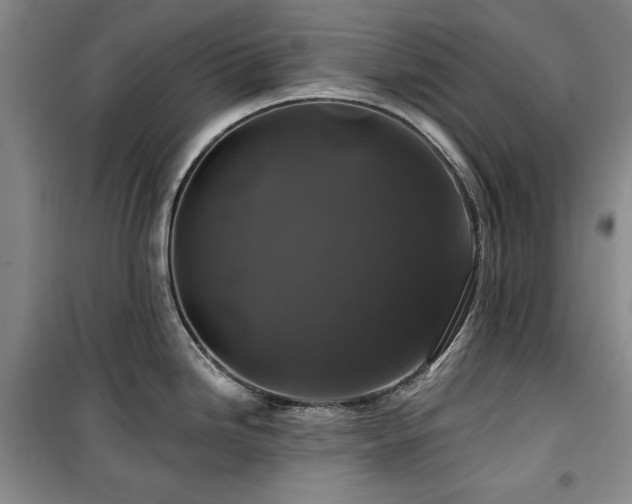 X0000100371246200806061148