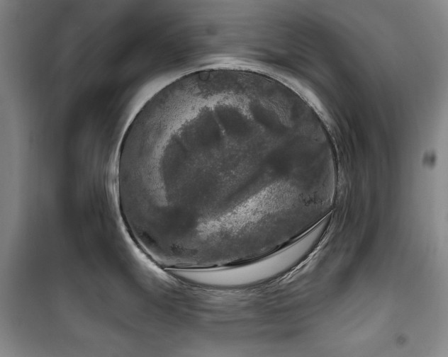 X0000100371247200806061148