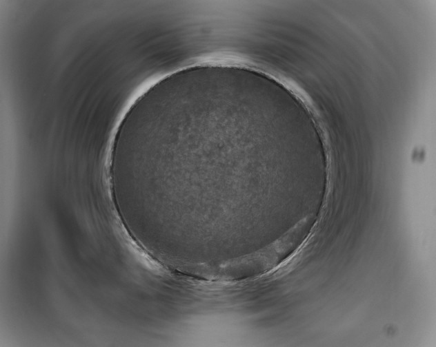 X0000100371248200806061148
