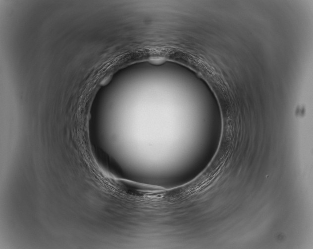 X0000100371249200806061148