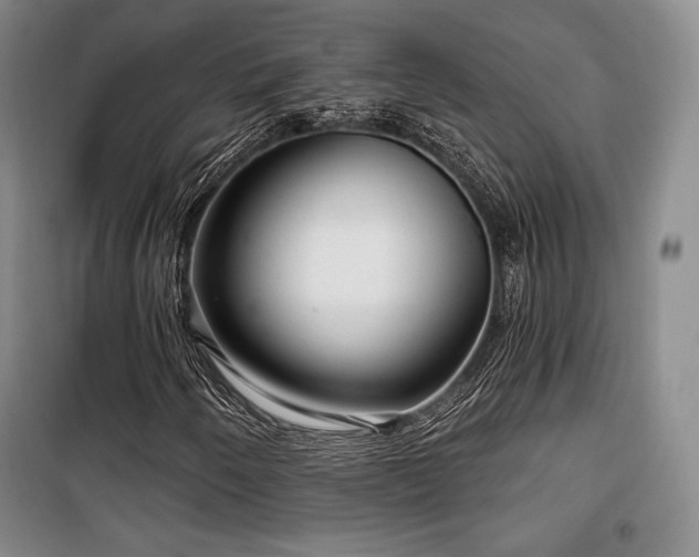 X0000100371250200806061147