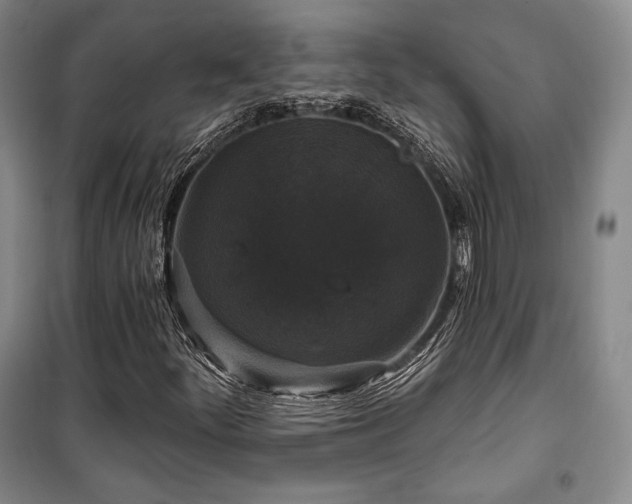 X0000100371252200806061147