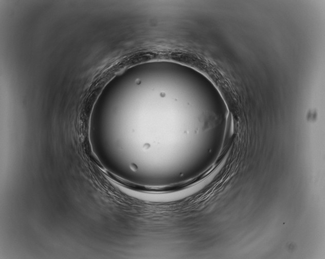 X0000100371253200806061147
