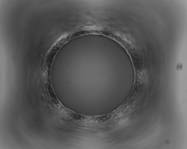 X0000100371254200806061147