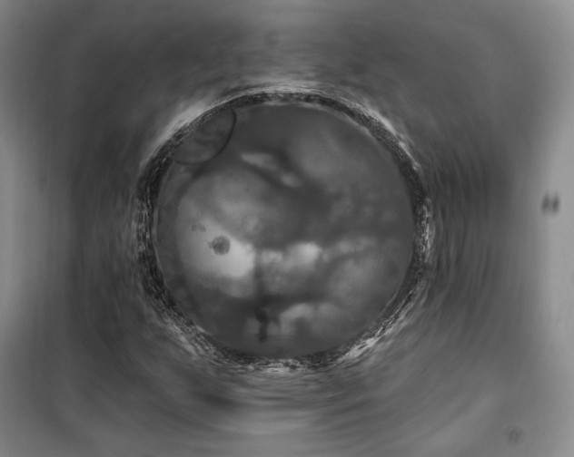 X0000100371255200806061147