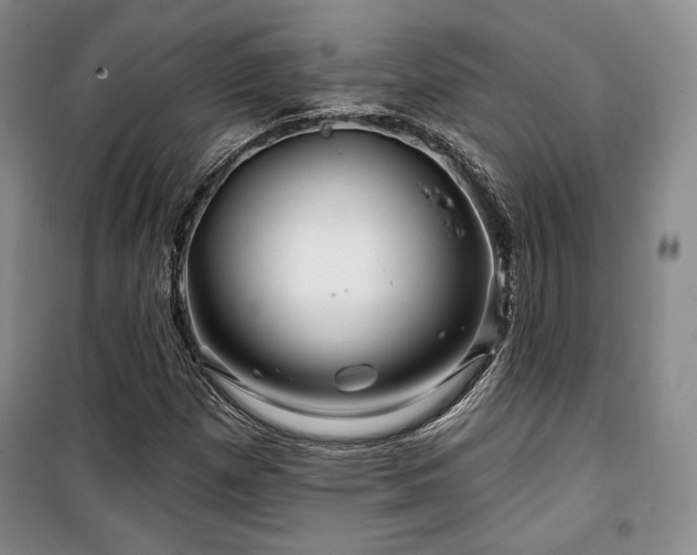 X0000100371257200806061147