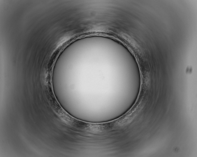 X0000100371258200806061147