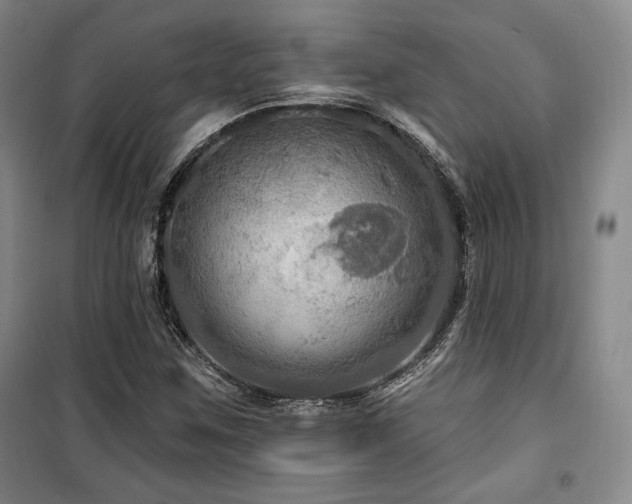 X0000100371259200806061147