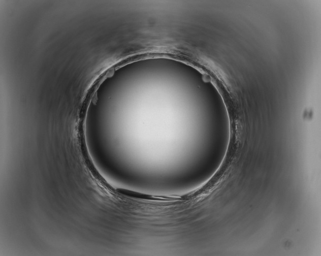X0000100371260200806061147