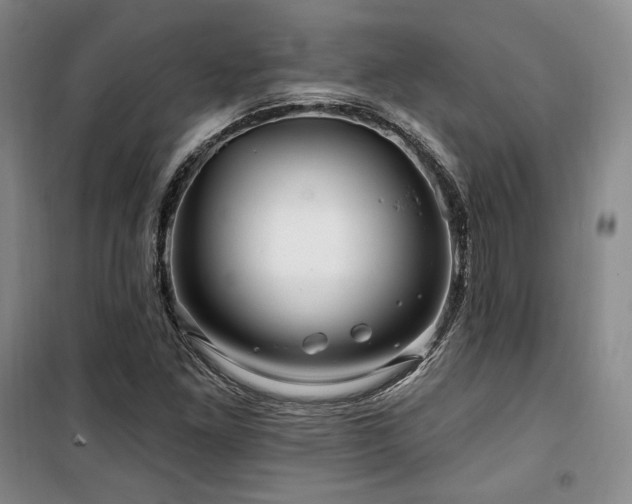 X0000100371261200806061147