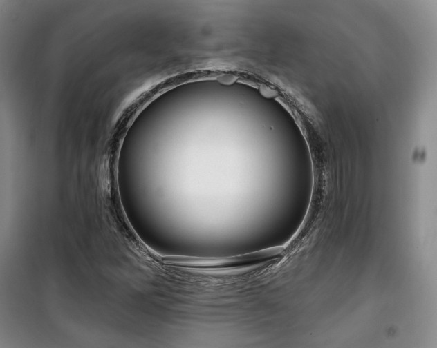 X0000100371262200806061147