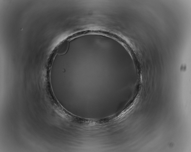 X0000100371263200806061147