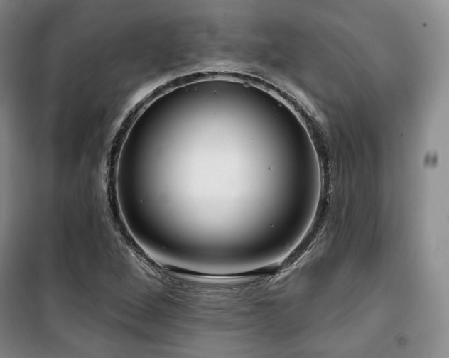 X0000100371264200806061147