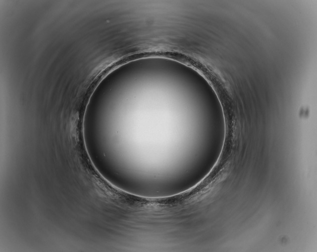 X0000100371265200806061147