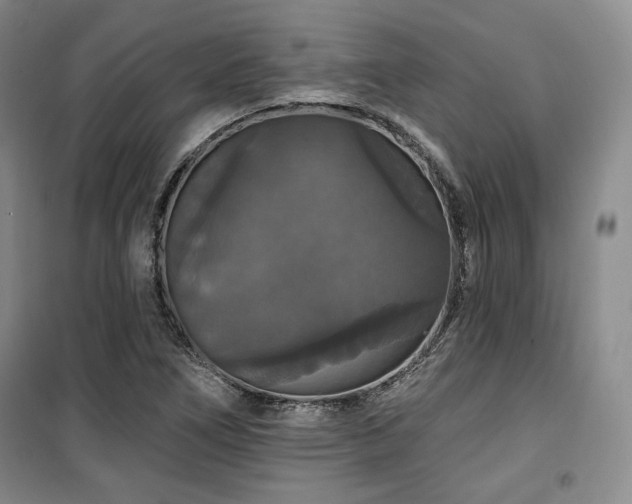 X0000100371266200806061147