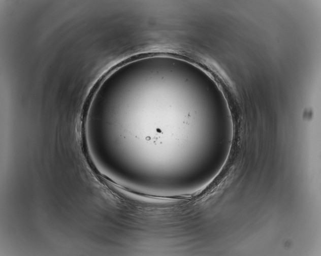 X0000100371268200806061147