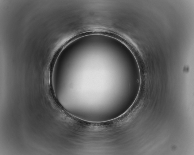 X0000100371269200806061147