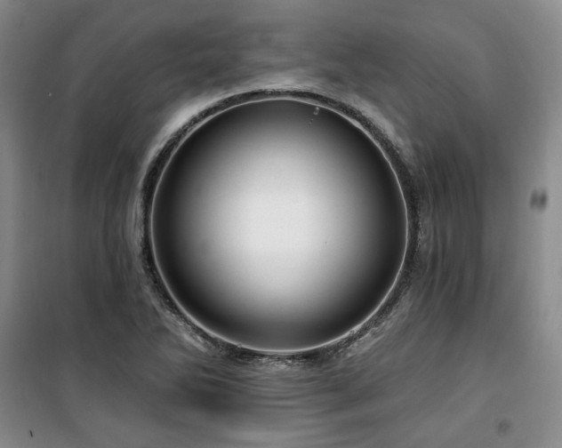 X0000100371270200806061147