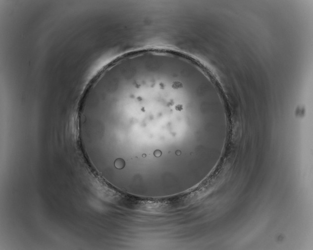 X0000100371271200806061147