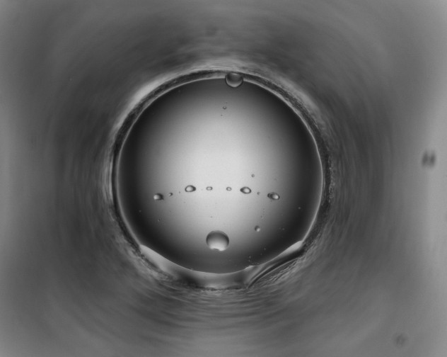 X0000100371272200806061147