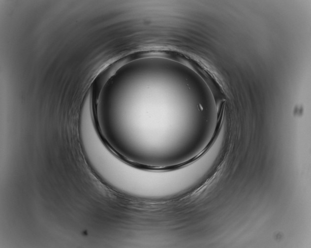 X0000100371273200806061147