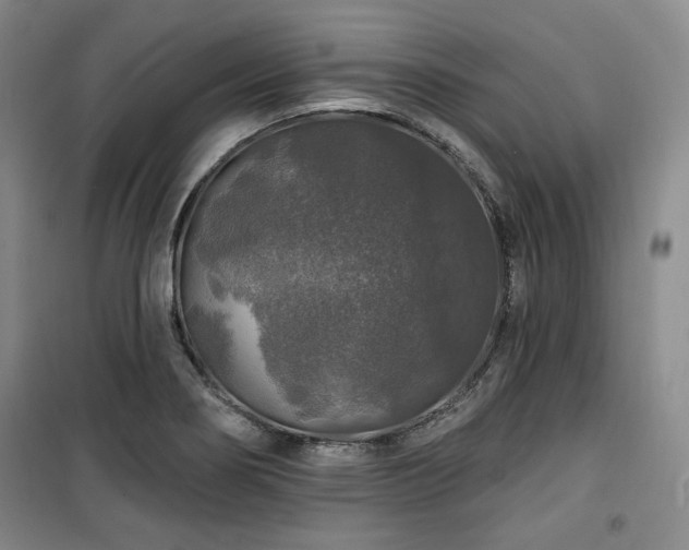 X0000100371274200806061147