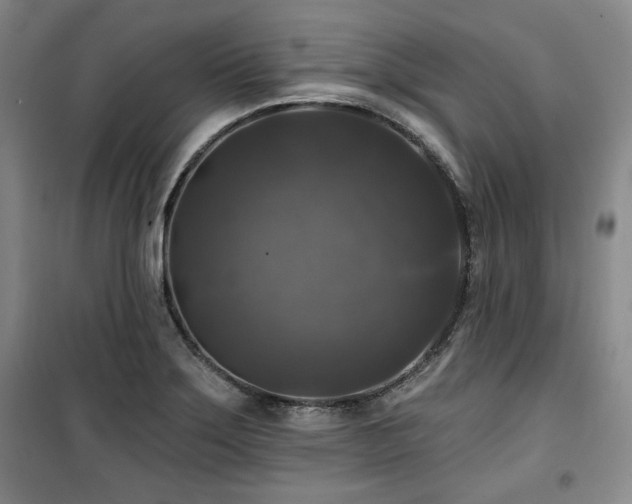 X0000100371275200806061147
