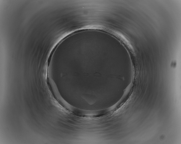 X0000100371276200806061147