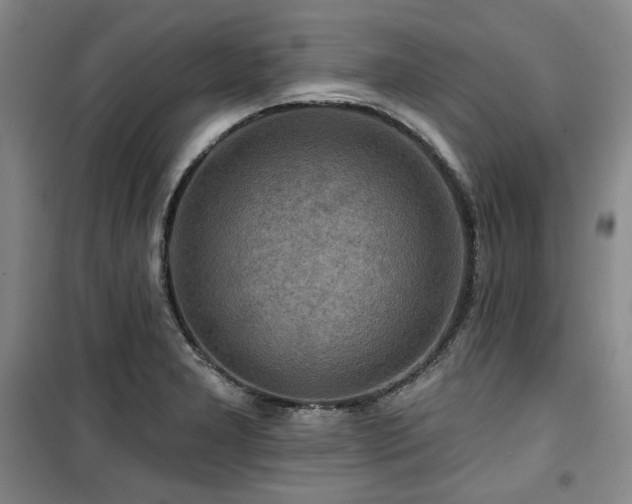 X0000100371277200806061147