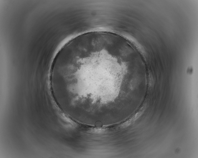 X0000100371278200806061147