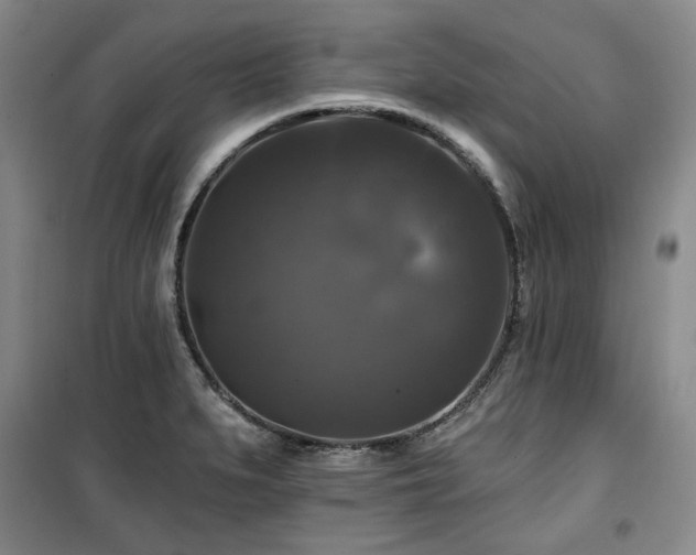 X0000100371279200806061147