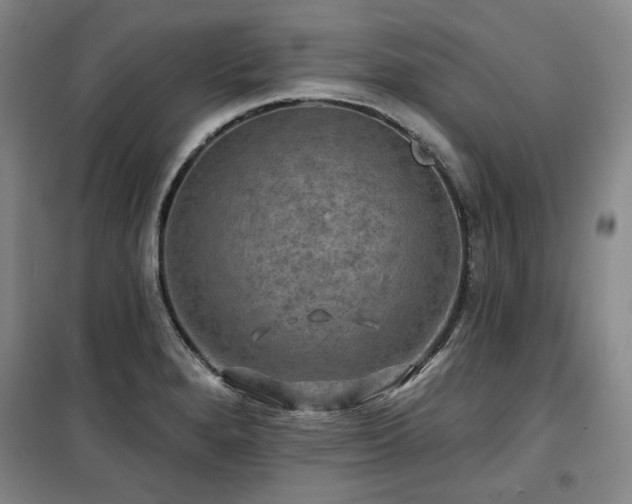X0000100371280200806061147