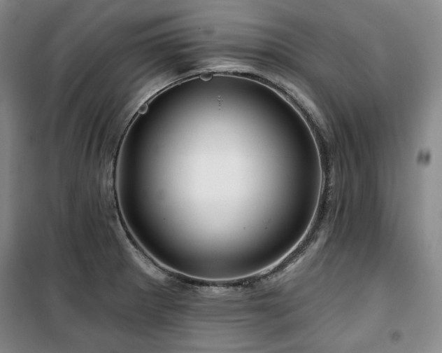 X0000100371281200806061147