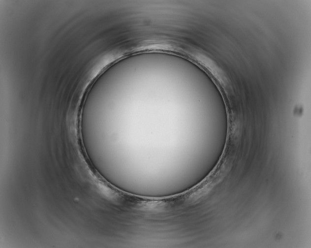 X0000100371282200806061147