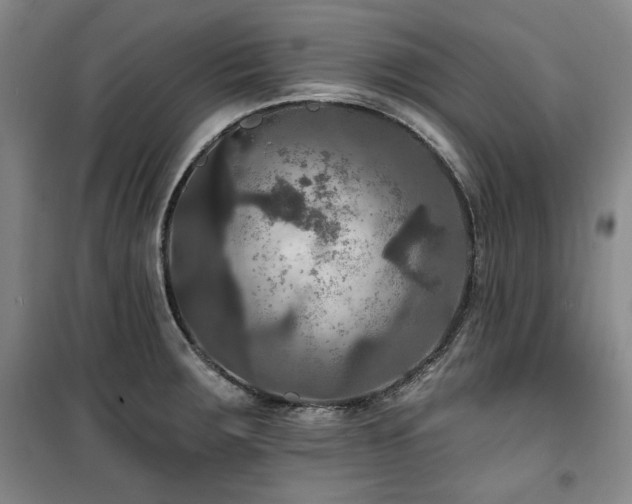 X0000100371283200806061147