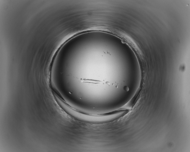 X0000100371284200806061147