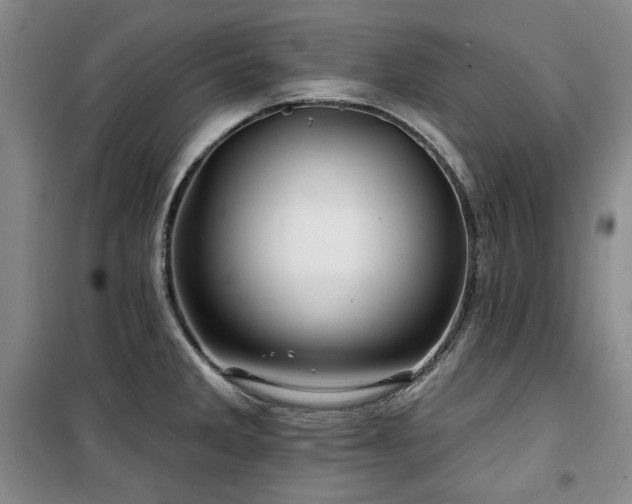 X0000100371285200806061147