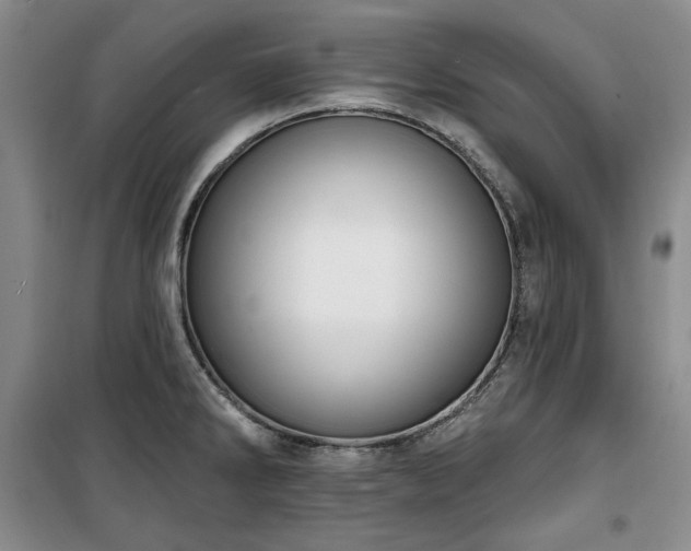 X0000100371286200806061147