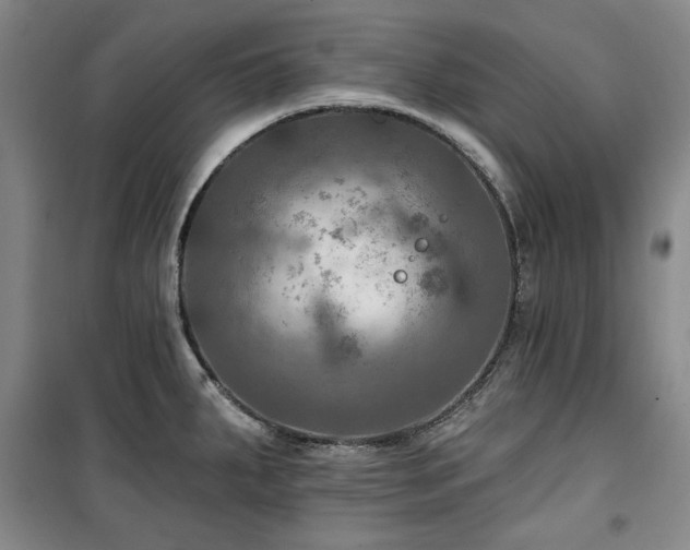 X0000100371287200806061147