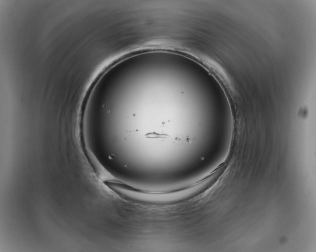 X0000100371288200806061147