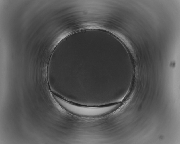 X0000100371289200806061147
