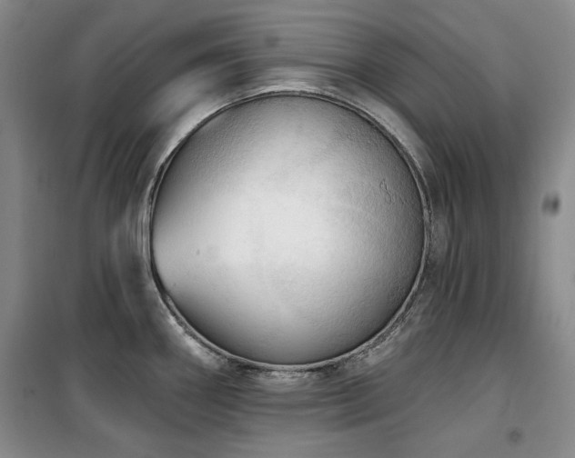 X0000100371290200806061147