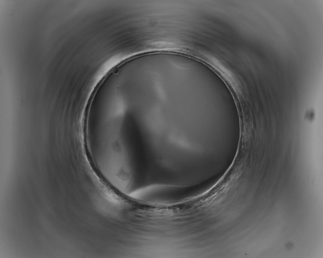 X0000100371291200806061147