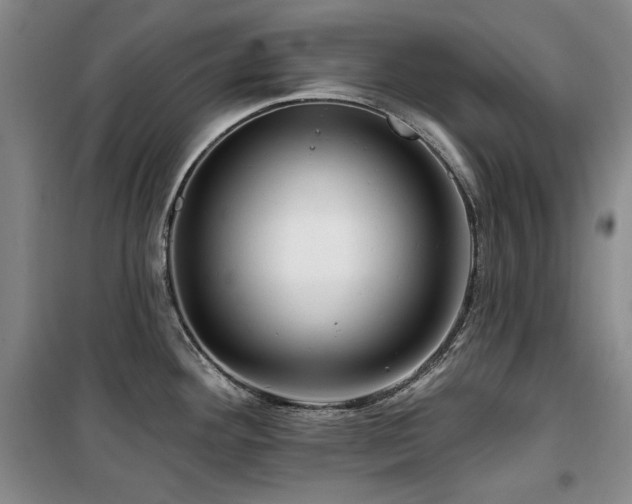 X0000100371292200806061147